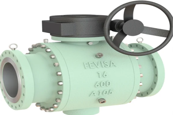 Fevisa valves